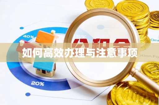 阿拉山口如何高效办理与注意事项