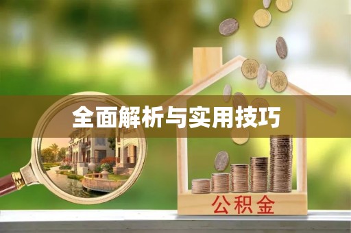 阿拉山口全面解析与实用技巧