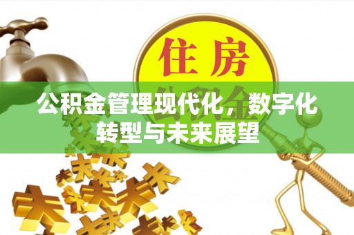 阿拉山口公积金管理现代化，数字化转型与未来展望