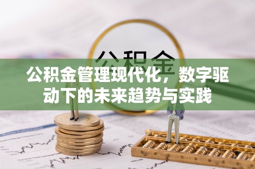 阿拉山口公积金管理现代化，数字驱动下的未来趋势与实践
