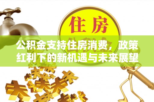 阿拉山口公积金支持住房消费，政策红利下的新机遇与未来展望