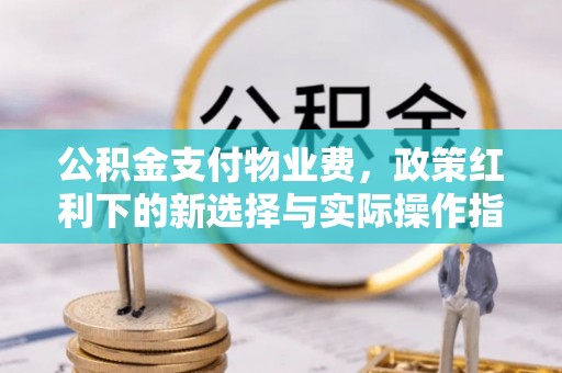 阿拉山口公积金支付物业费，政策红利下的新选择与实际操作指南