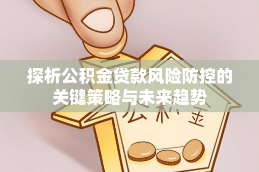 阿拉山口探析公积金贷款风险防控的关键策略与未来趋势