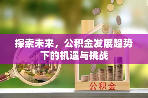 阿拉山口探索未来，公积金发展趋势下的机遇与挑战