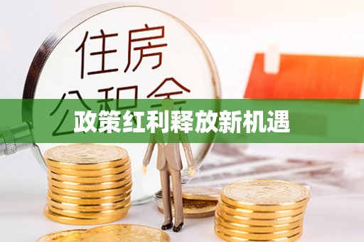 阿拉山口政策红利释放新机遇