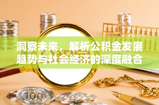 阿拉山口洞察未来，解析公积金发展趋势与社会经济的深度融合