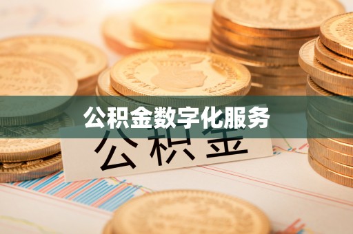 阿拉山口公积金数字化服务