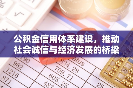 阿拉山口公积金信用体系建设，推动社会诚信与经济发展的桥梁