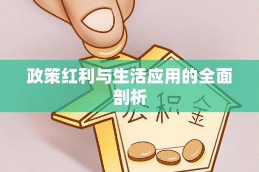 阿拉山口政策红利与生活应用的全面剖析