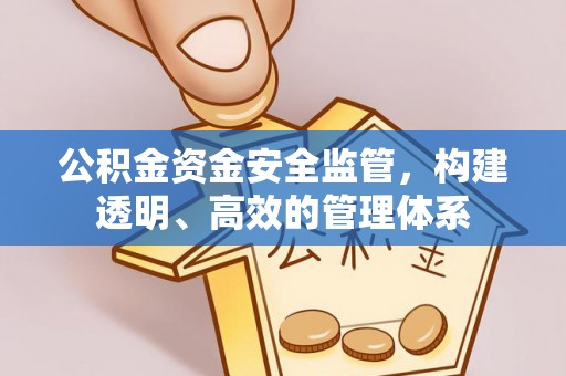 阿拉山口公积金资金安全监管，构建透明、高效的管理体系