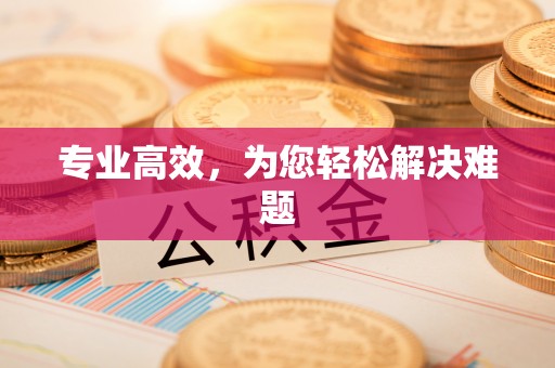 阿拉山口专业高效，为您轻松解决难题