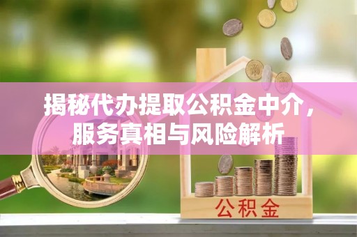 阿拉山口揭秘代办提取公积金中介，服务真相与风险解析