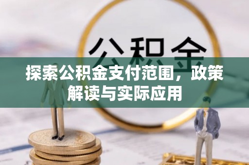 阿拉山口探索公积金支付范围，政策解读与实际应用
