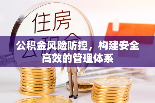 阿拉山口公积金风险防控，构建安全高效的管理体系